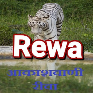 rewa