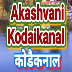 airkodaikanal